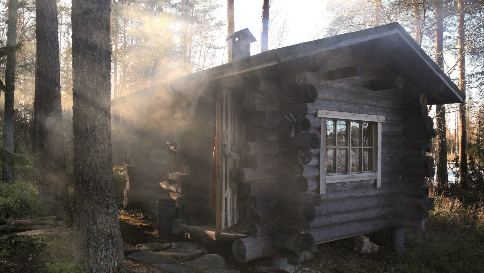 Tutustu 99+ imagen sauna smoke