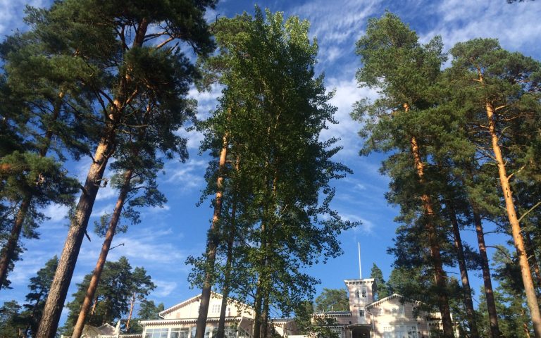 Ein Haus im Wald – Hotel Punkaharju