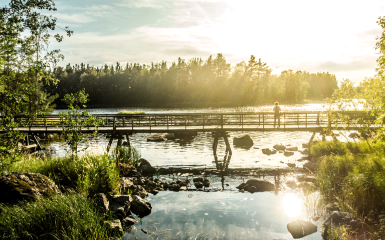 Kämärin saari ja Ämmänkoski