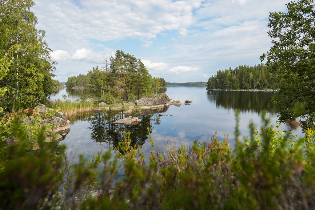 lake view 9 (1)
