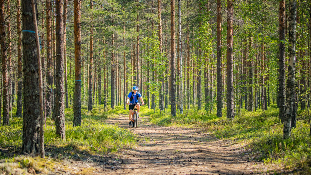 Pyöräilijä pyöräilee metsässä