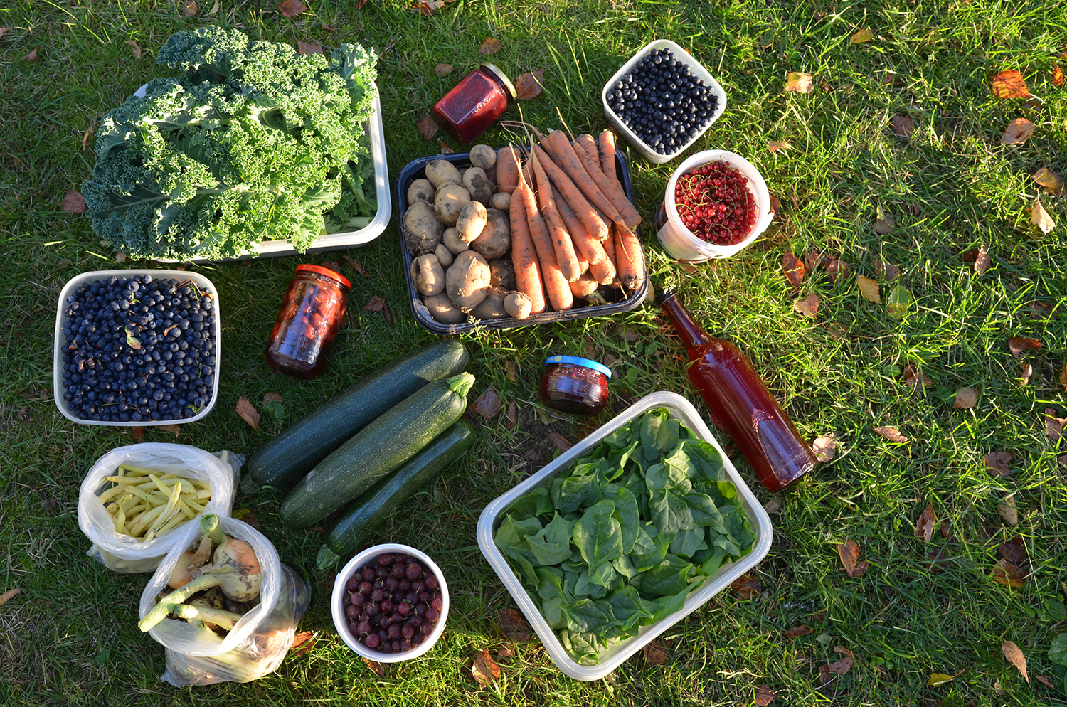 3_Finnish food from the forest and vegetable garden_Visit Saimaa_SaimaaLife Media.jpg