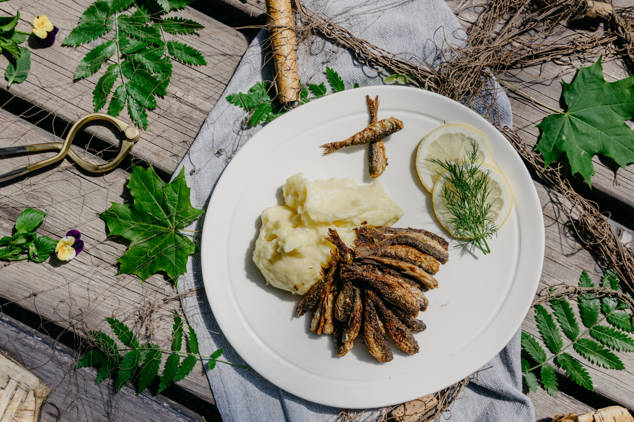 Okkolan Lomamökit